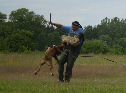 Training in Estonia 6/2007